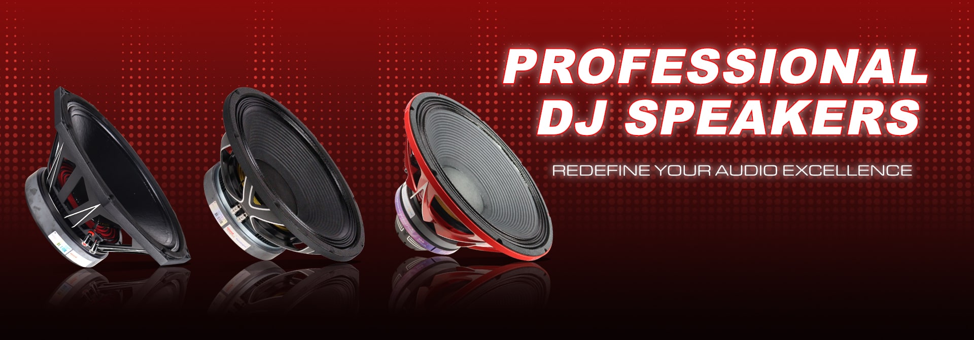 DJ Speakers