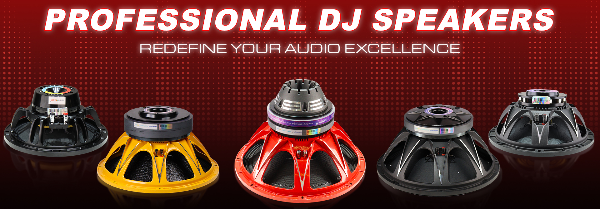 DJ Speakers